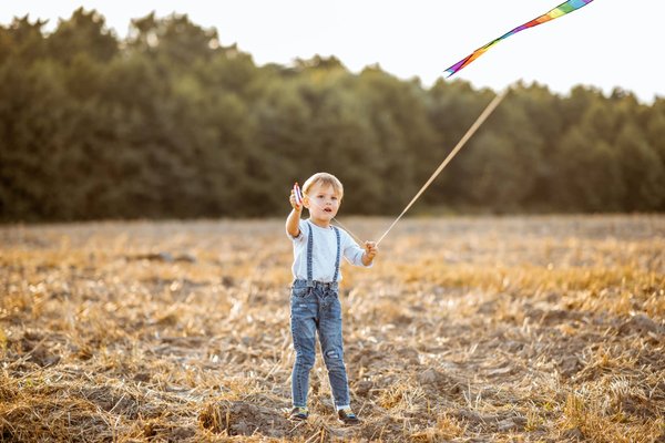 Marchandes en bois : le meilleur jouet pour vos enfants !