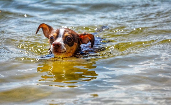 Quels sont les meilleurs moyens pour débuter en scrapbooking créatif ?